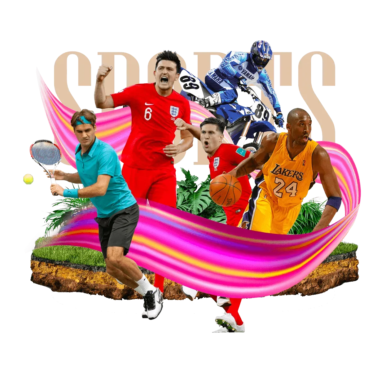 旧版草莓无限次数网站体育赛事